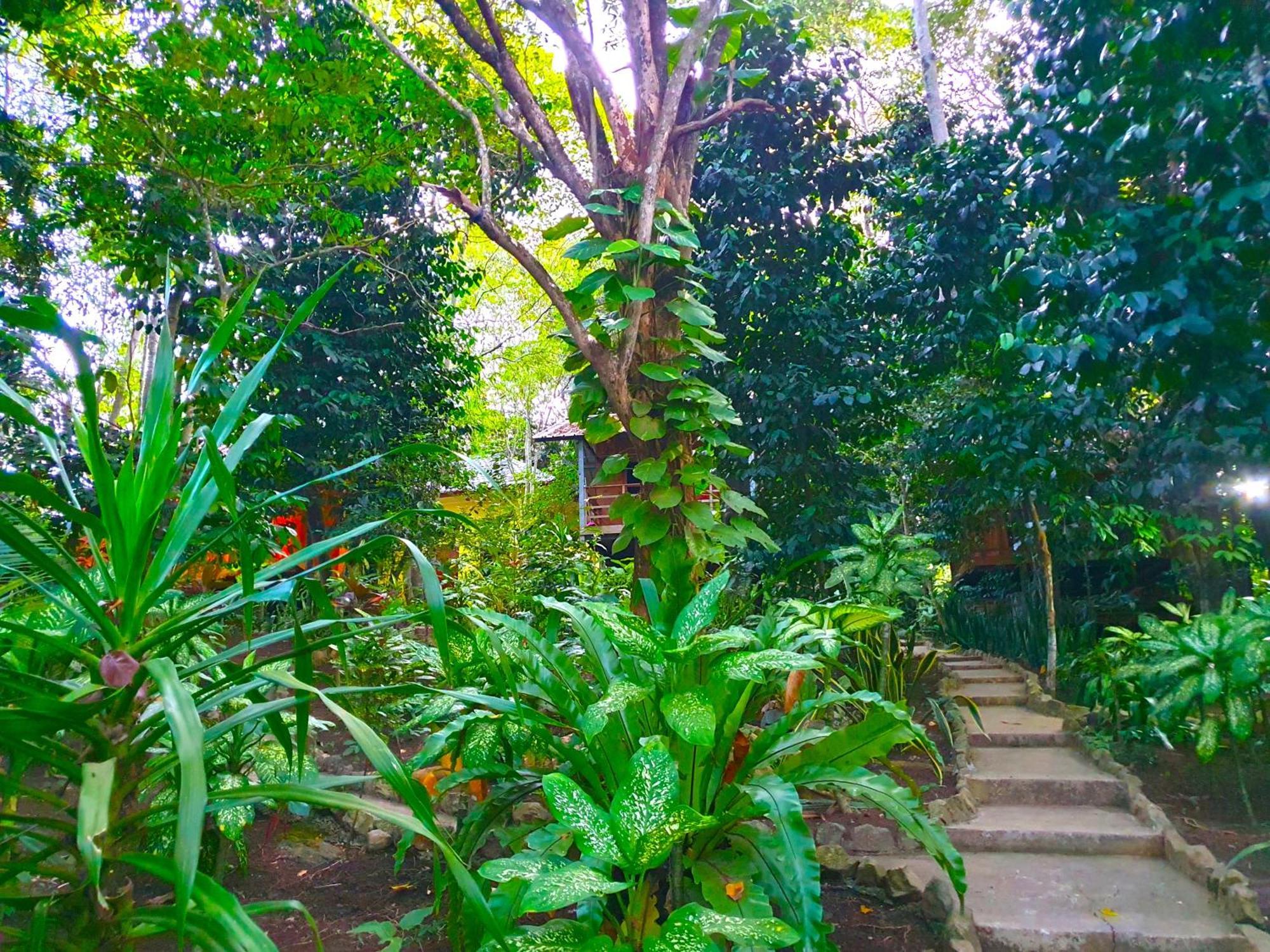 Iboih Santi Garden Bungalows מראה חיצוני תמונה